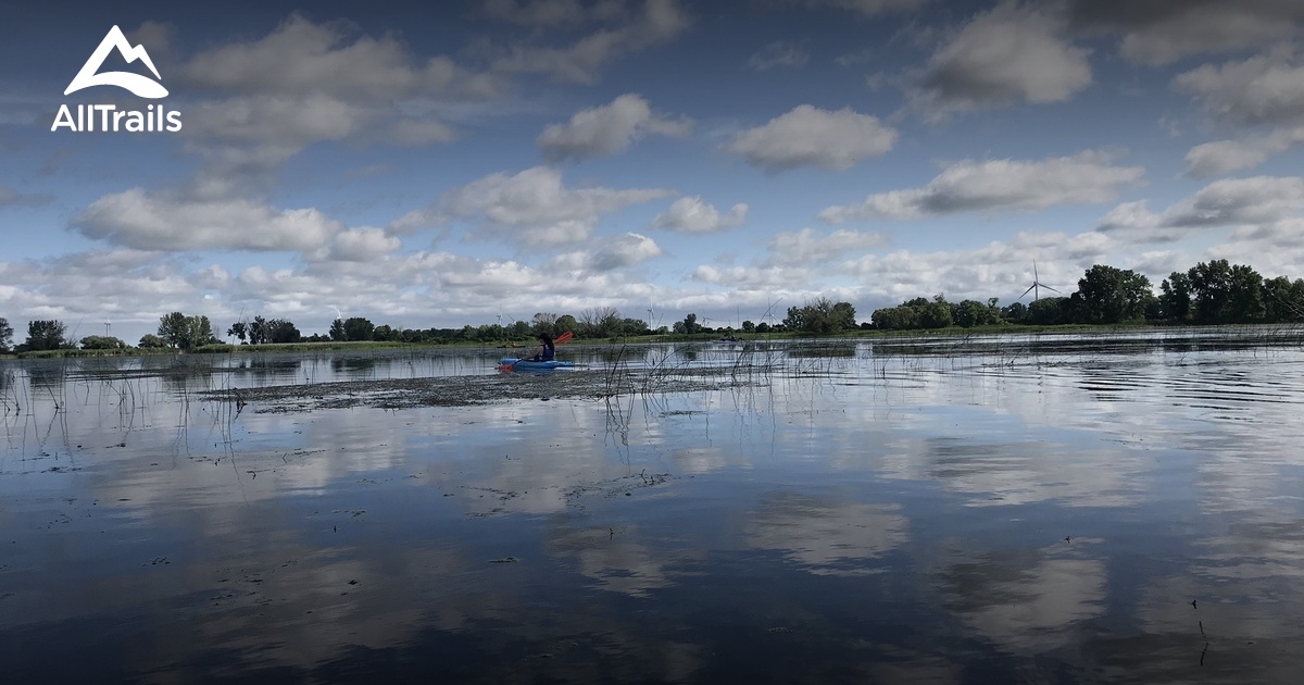 Best Hikes and Trails in Wallaceburg AllTrails