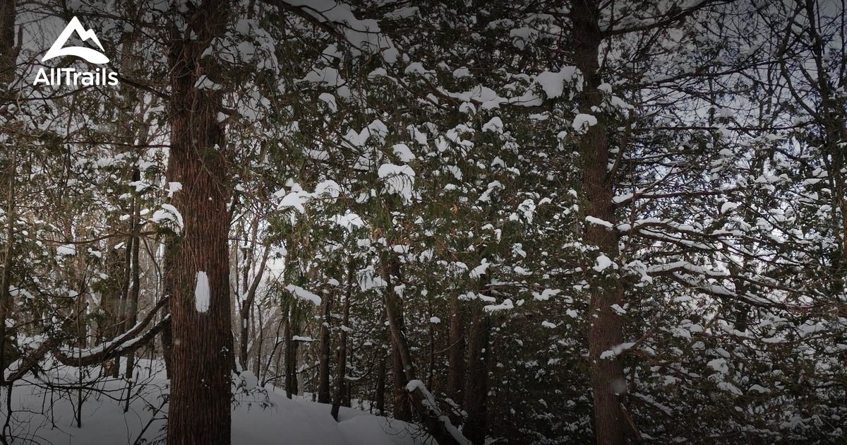 Best Hikes and Trails in Walters Falls AllTrails