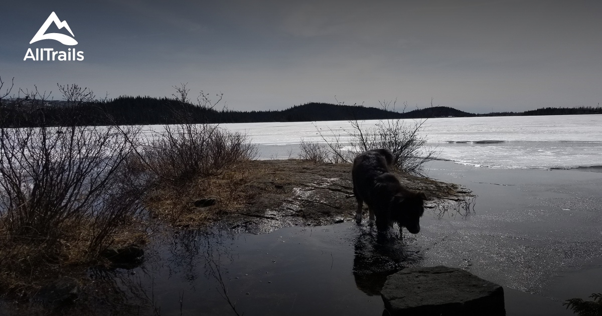 Chibougamau les 10 meilleures randonnées et itinéraires AllTrails