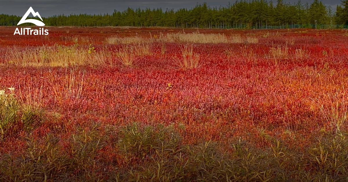 2023 Best Views Trails in L'AscensiondeNotreSeigneur AllTrails