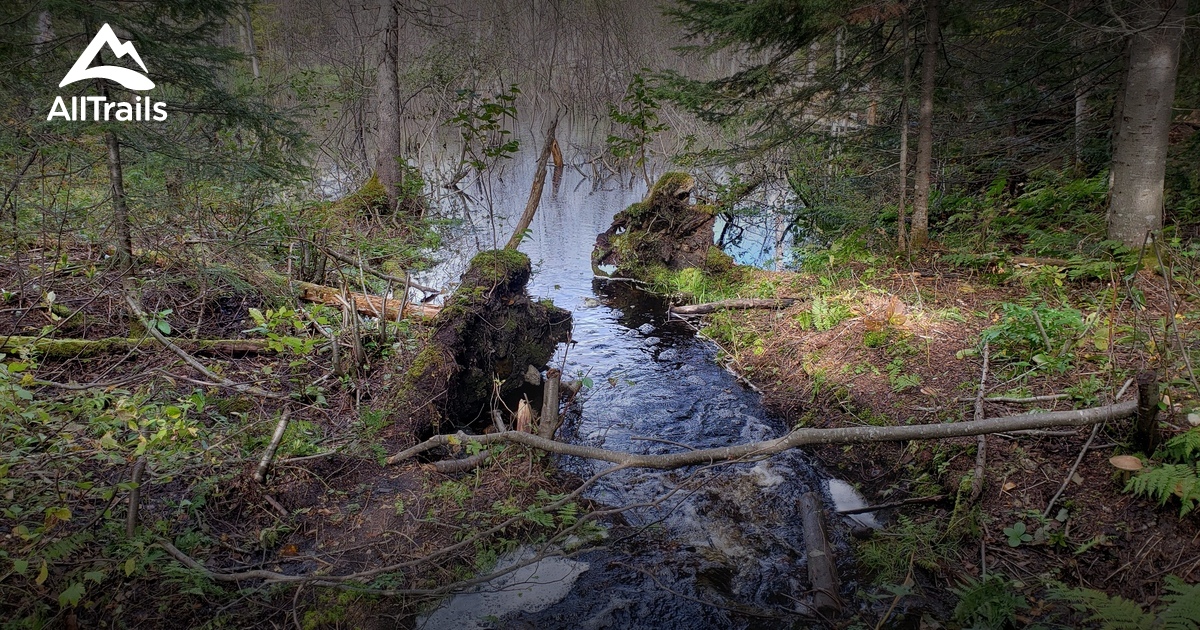 Best Hikes and Trails in LacBouchette AllTrails