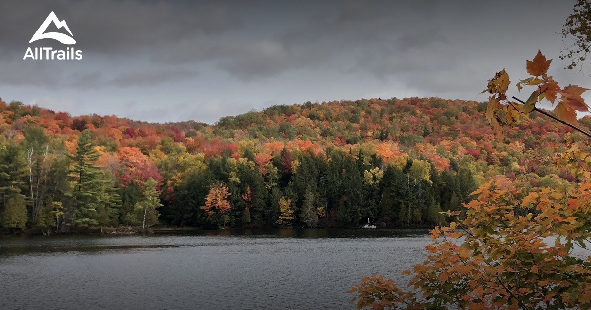 2023 Best Forest Trails in LacdesSeizeIles AllTrails