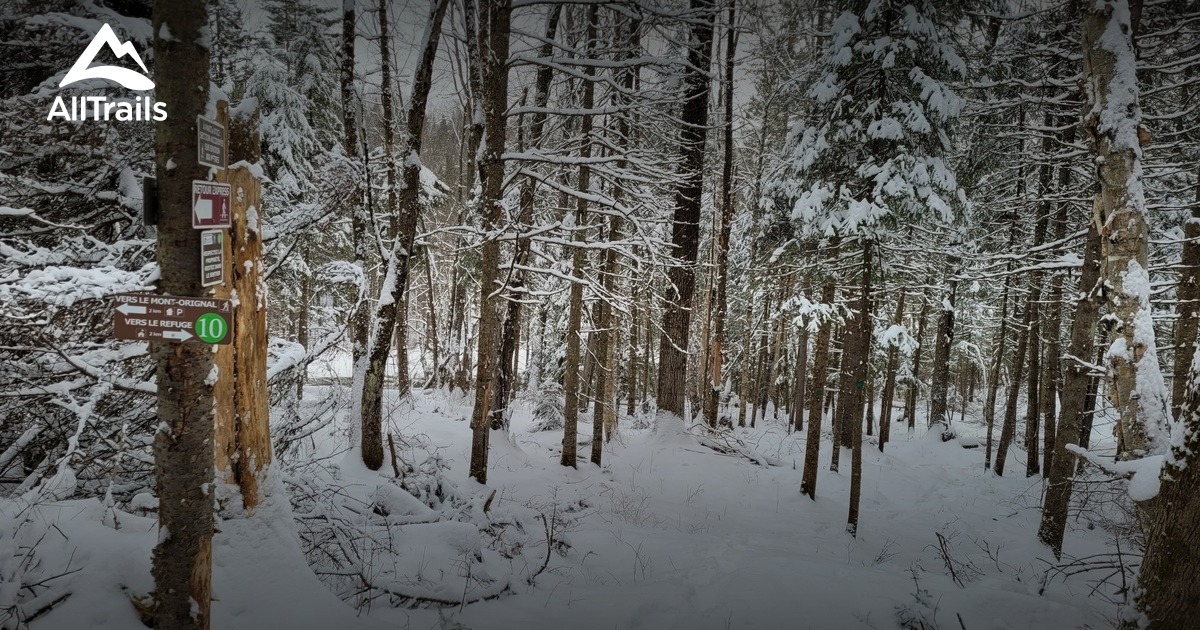 Best Easy Trails in LacEtchemin AllTrails