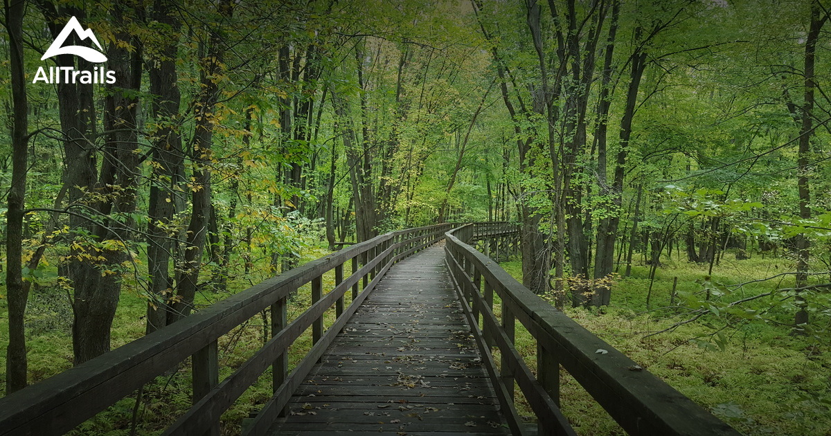 Best Hikes and Trails in Louiseville AllTrails