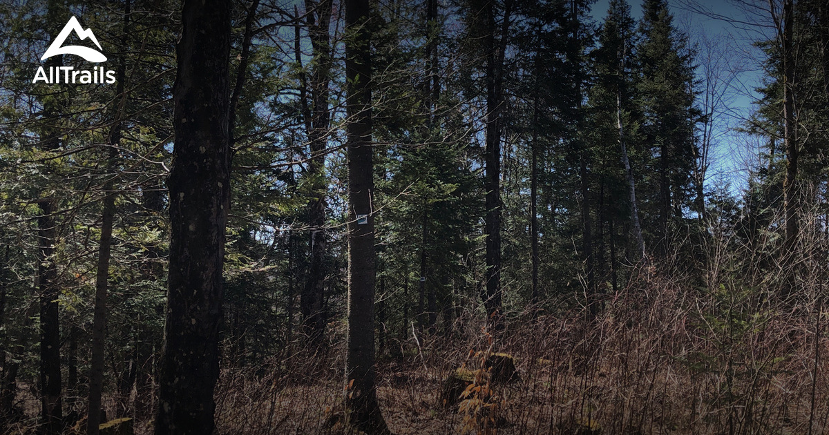 2023 Best Views Trails in SaintEtiennedeBolton AllTrails