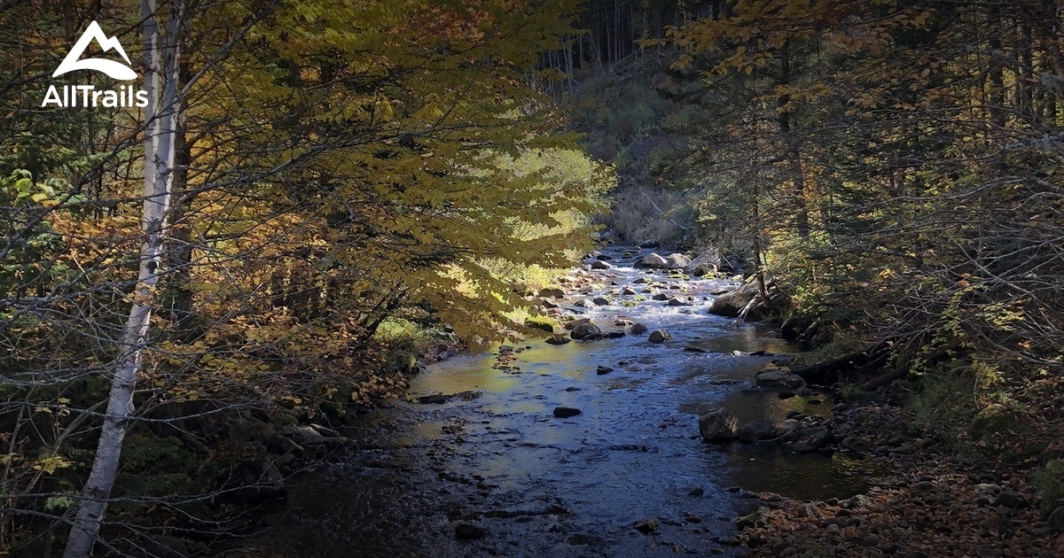 Best Hikes and Trails in SaintFerreollesNeiges AllTrails