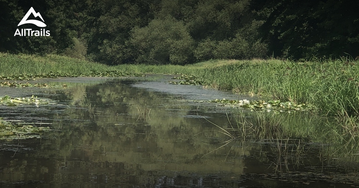 2023 Best Wildlife Trails in SaintIgnacedeLoyola AllTrails