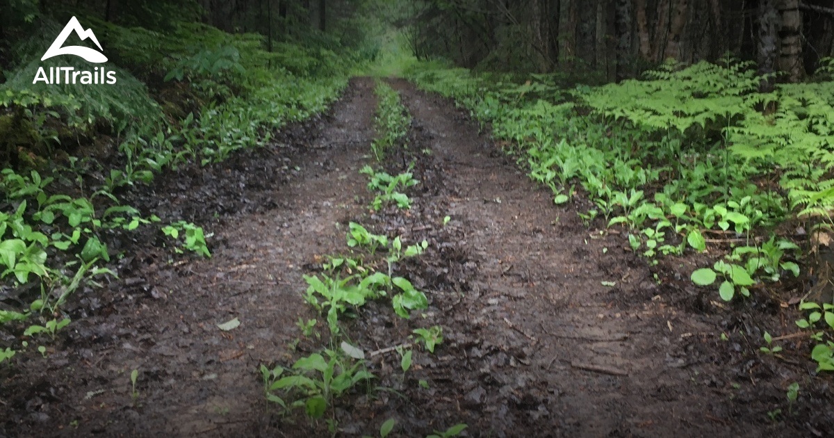 2023 Best River Trails in SainteAngeledeMerici AllTrails