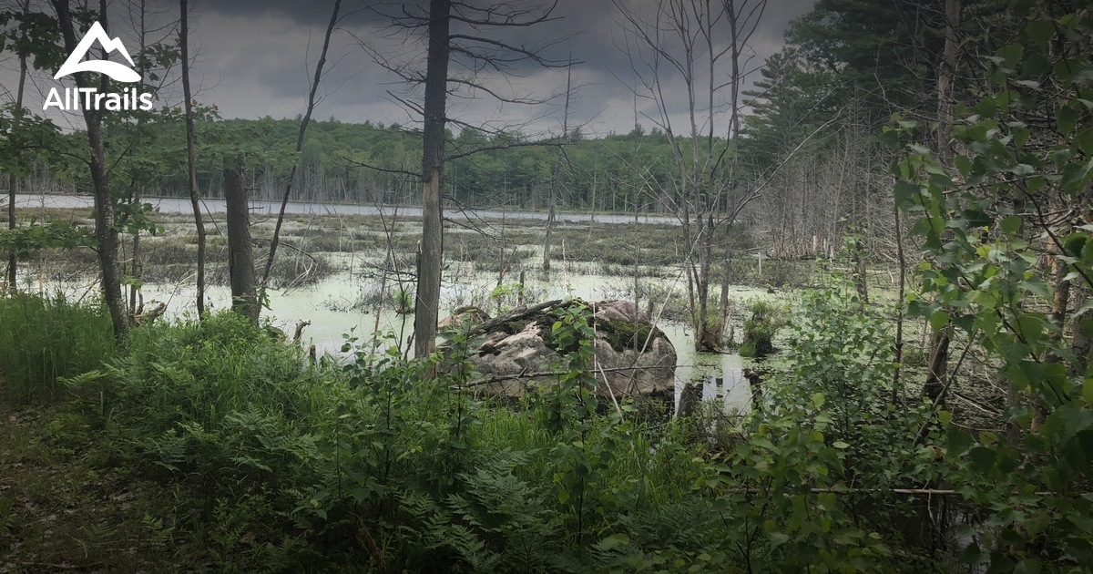 Best Hikes and Trails in SainteJulienne AllTrails