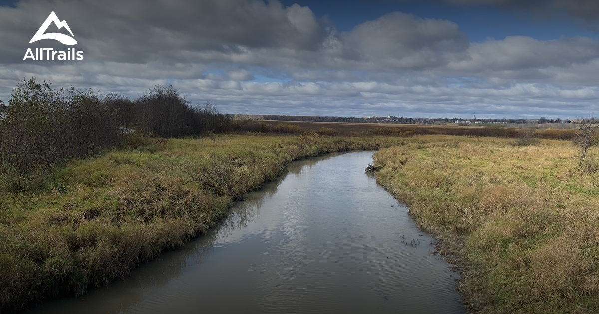 Best No Dogs Trails in Thurso AllTrails