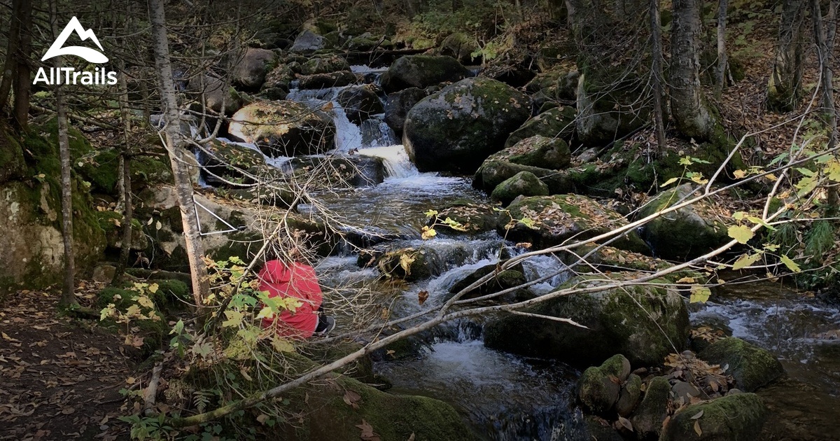 Best Hikes and Trails in ValRacine AllTrails