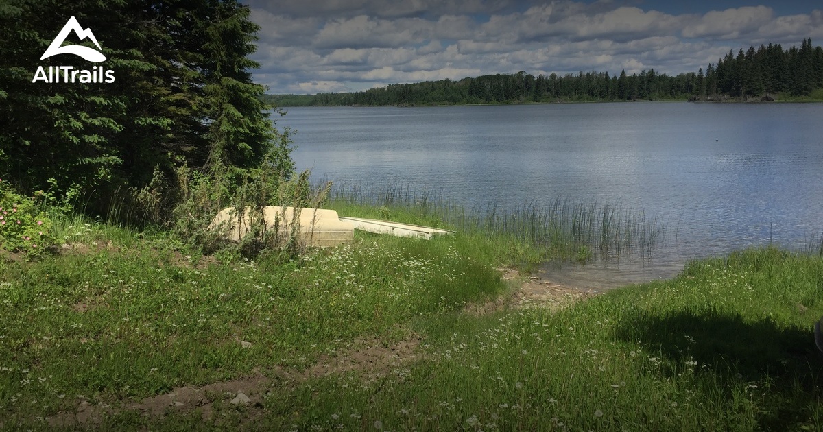 best-dog-friendly-trails-in-clayton-alltrails