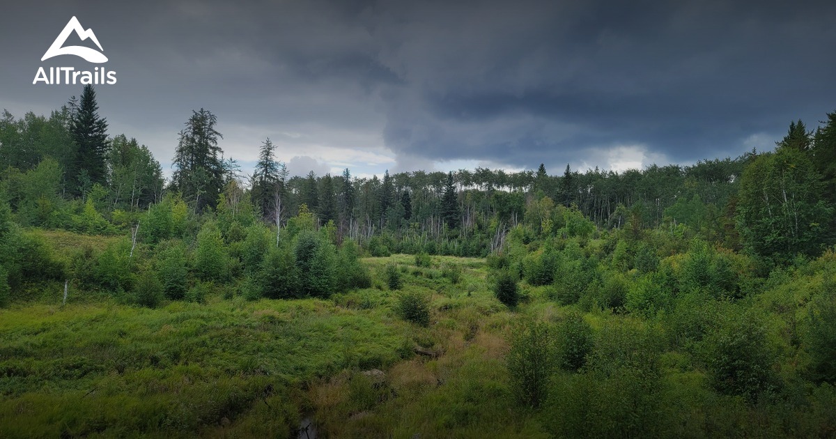 Best Hikes and Trails in Makwa Lake Provincial Park AllTrails