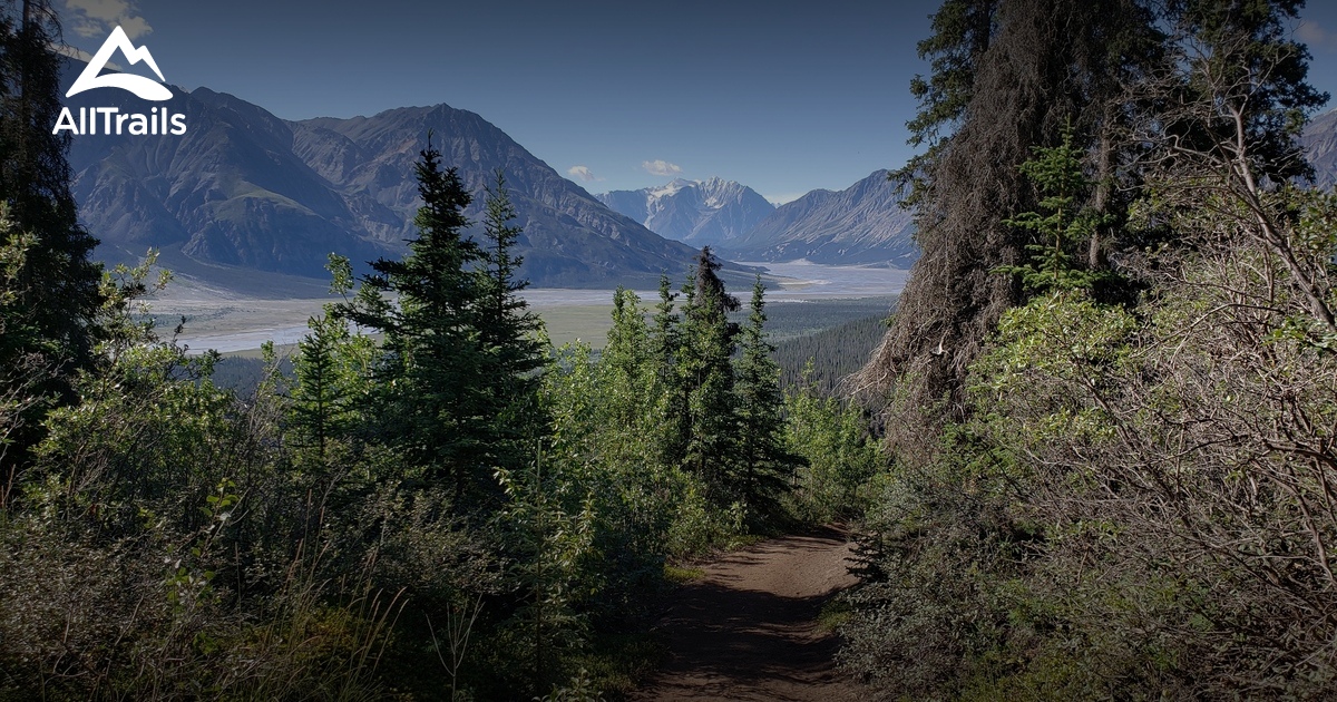 Best Walking Trails in Destruction Bay AllTrails