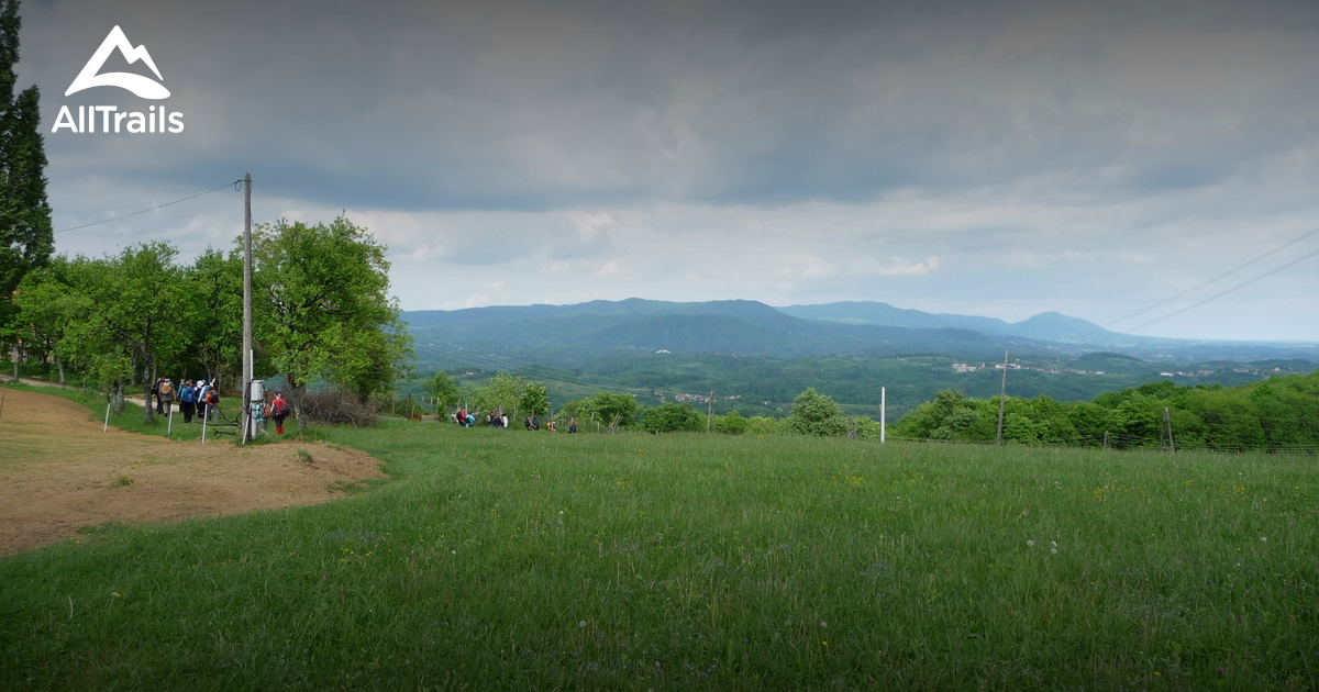 2023 Best Wild Flowers Trails in Kamanje AllTrails