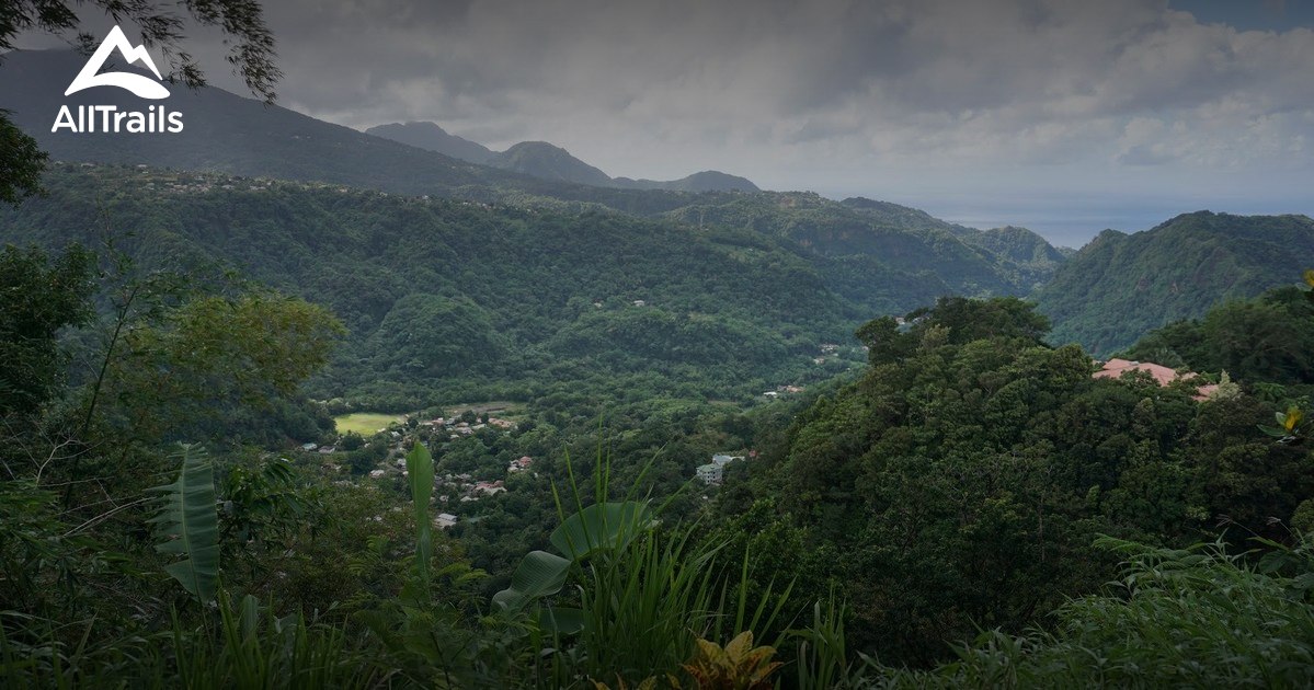 Best Trails near Morne Prosper, Saint Dominica AllTrails