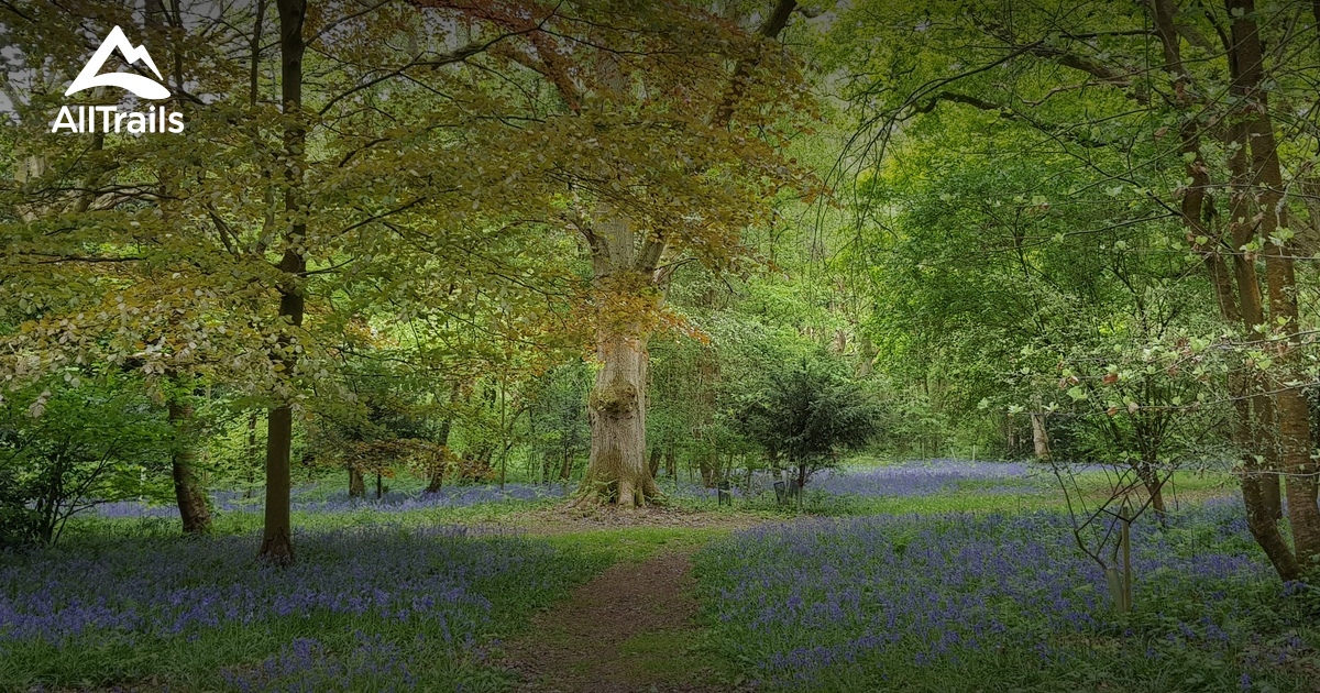 Best trails in Marlow, Buckinghamshire AllTrails