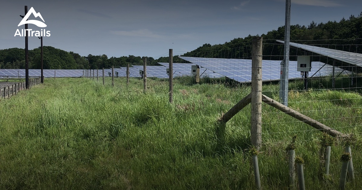 Best Hikes and Trails in Ferndown AllTrails