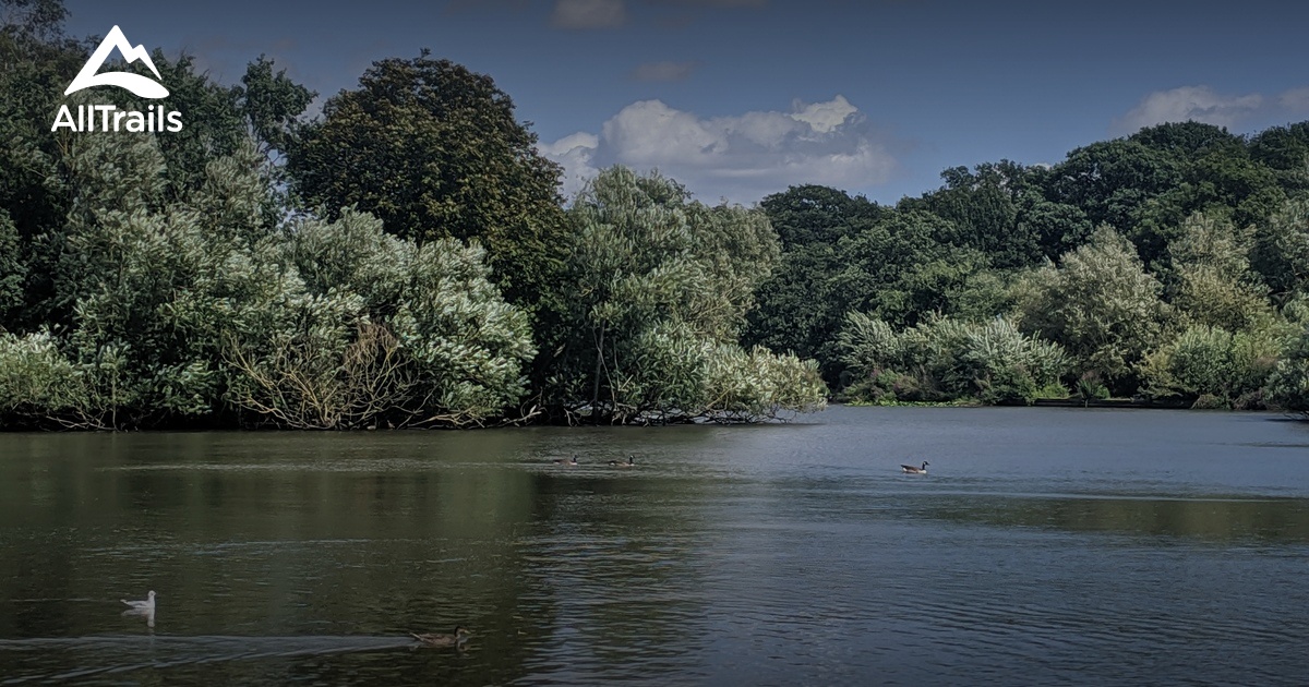 10 Best Trails and Hikes in Buckhurst Hill AllTrails