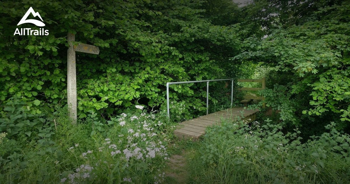 Best River Trails in Saffron Walden AllTrails