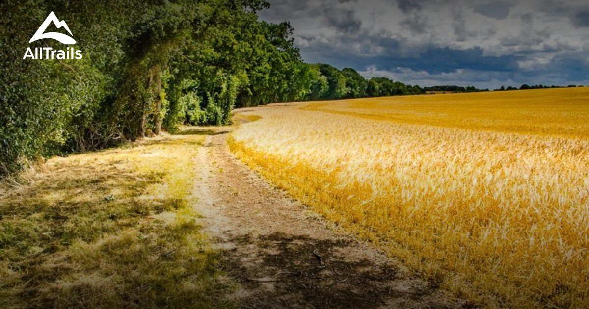 Best Trails near Ware, Hertfordshire England AllTrails