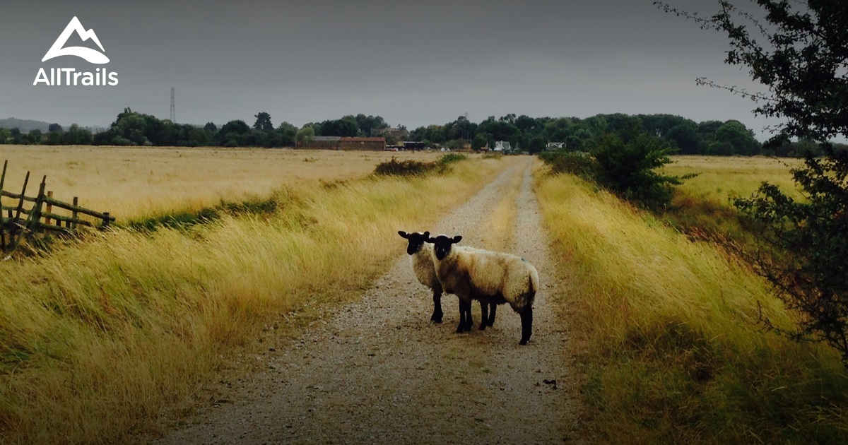 10 Best Walking Trails in Faversham AllTrails