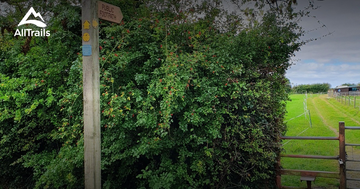 Best Hikes and Trails in BarrowUponHumber AllTrails