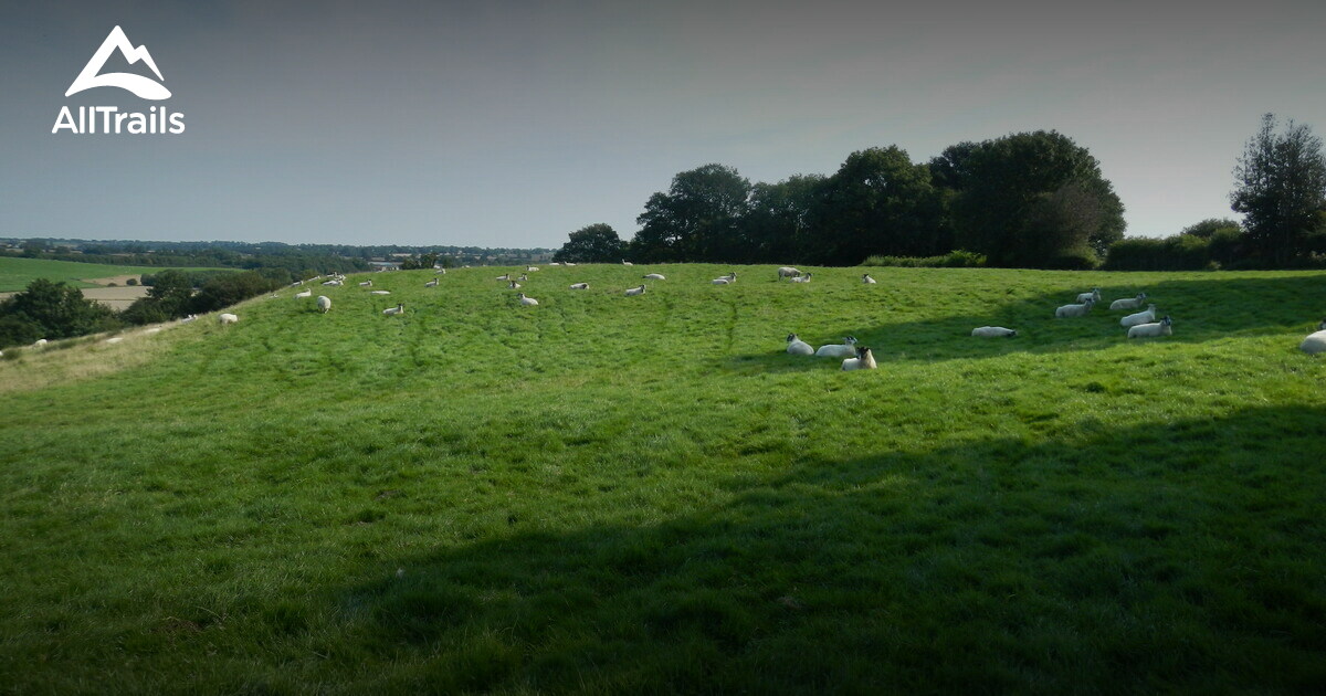 Best Trails, Walks, and Paths in Catterick Garrison AllTrails