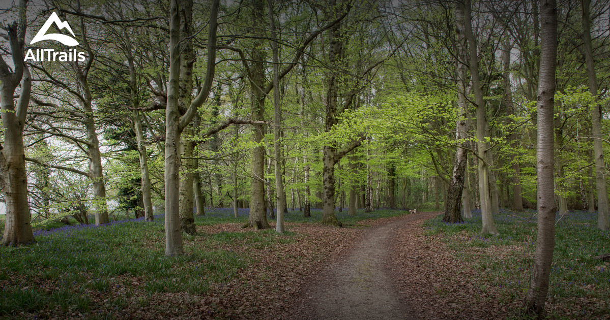 Best Trails near Chipping Norton, Oxfordshire England AllTrails