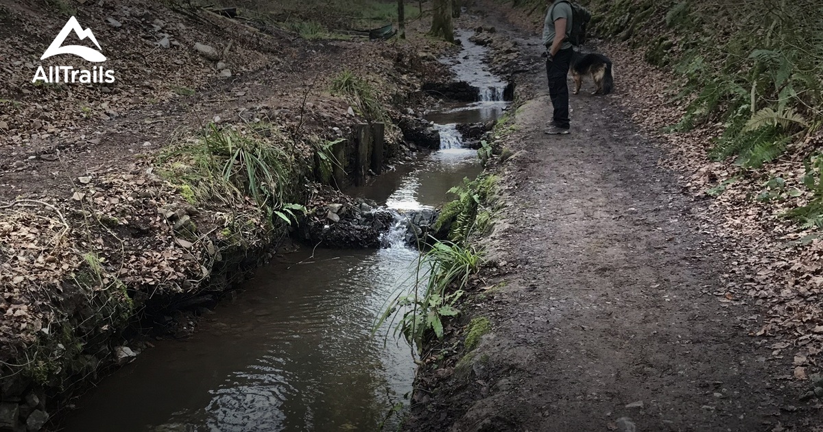 Best walking trails in Somerset AllTrails