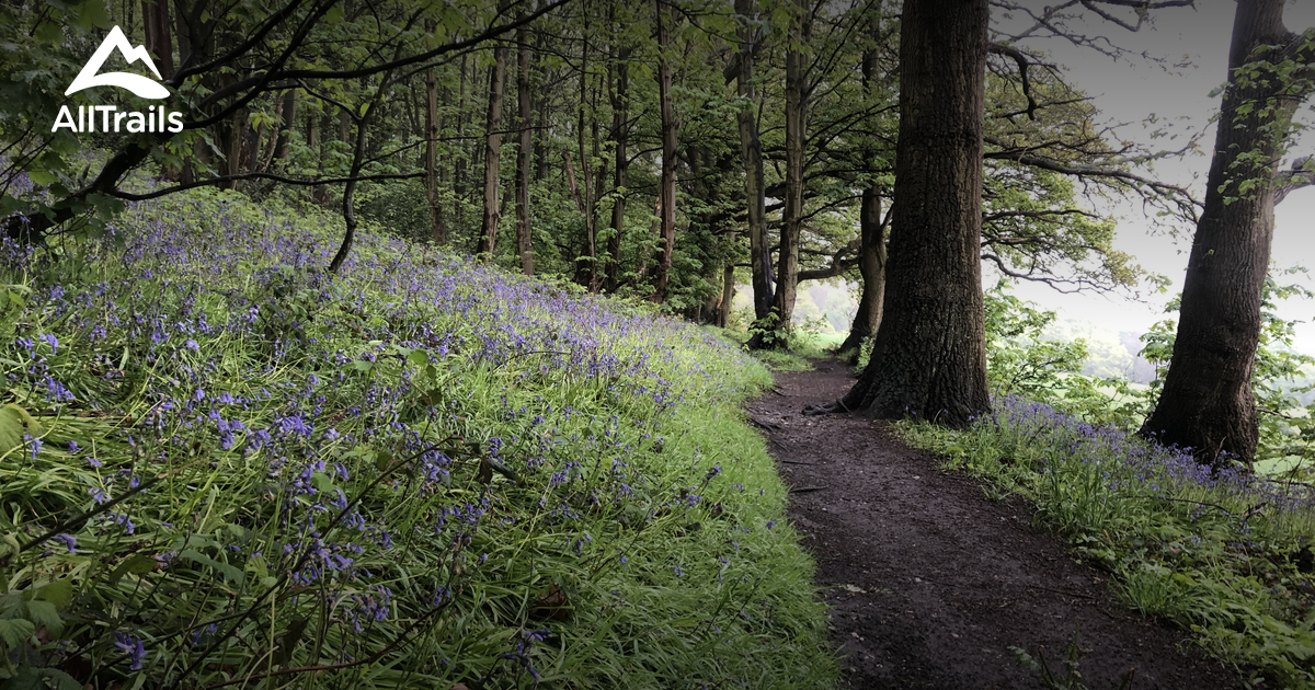 Best Trails near Stourbridge, Staffordshire England AllTrails