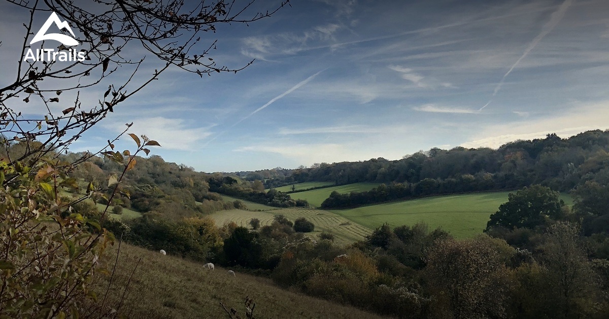 10 Best Trails, Walks, and Paths in Caterham AllTrails