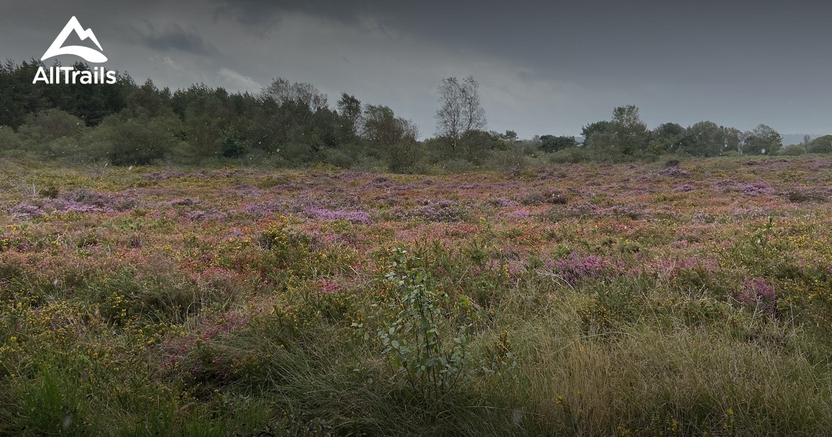 2023 Best trails in Le CloîtreSaintThégonnec AllTrails