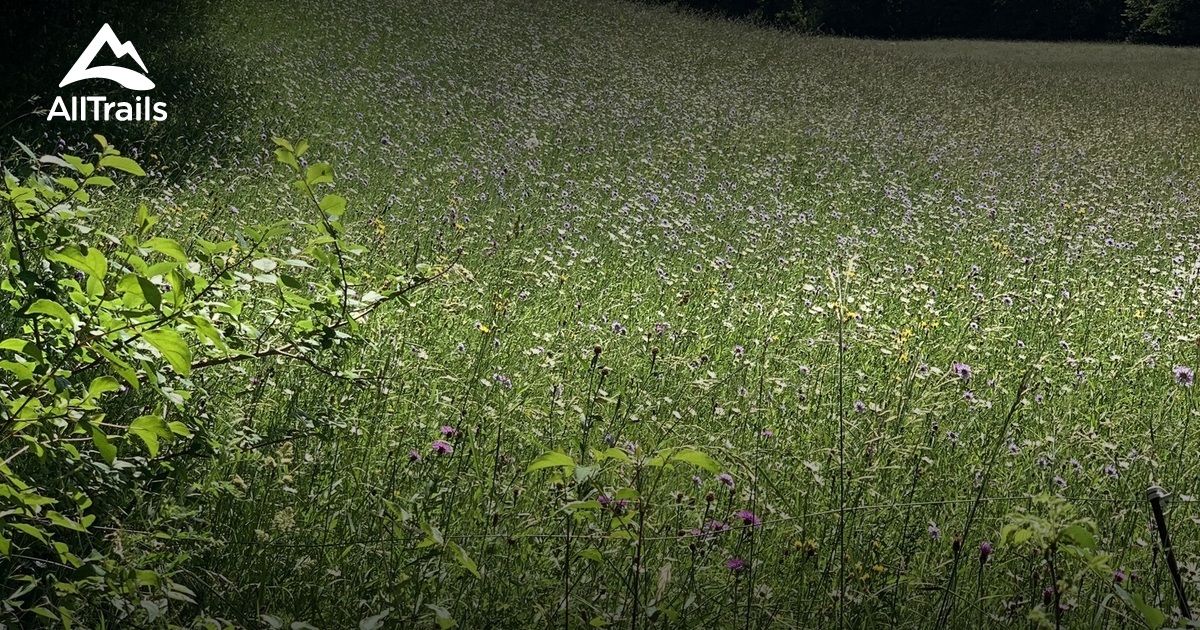 Best Hikes and Trails in Fabas AllTrails