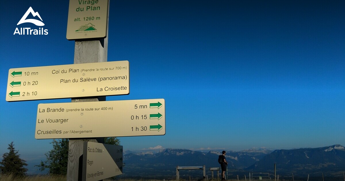 VovrayenBornes les meilleures randonnées avec son chien en 2023