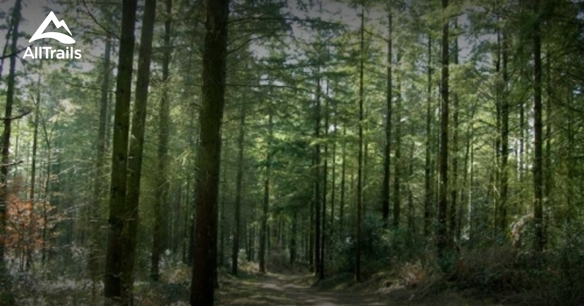 Best dogfriendly trails in NeuvicEntier AllTrails