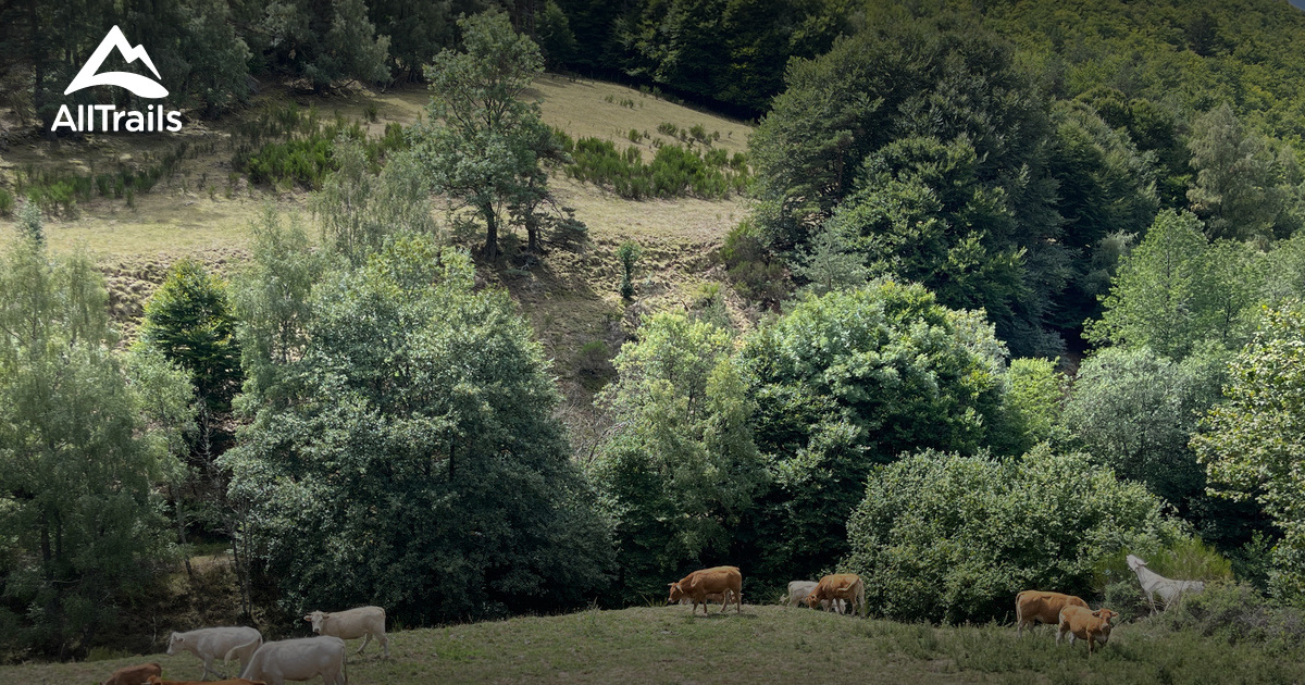 Best Hikes and Trails in Mont Lozère et Goulet AllTrails