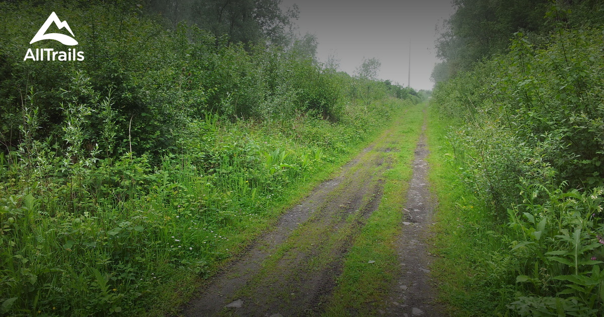 Arleux les meilleures balades en 2023 AllTrails