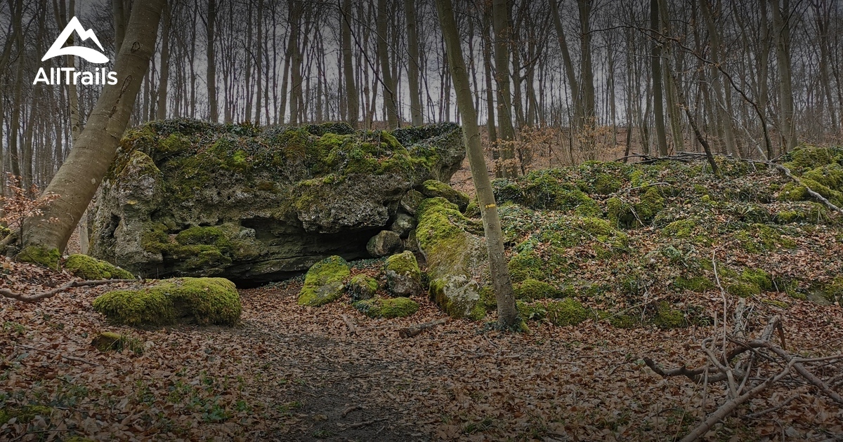 Montmacq les meilleures randonnées pour camper en 2023 AllTrails