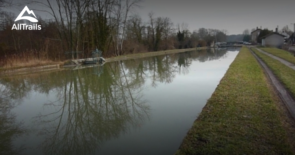 Best Forest Trails in Moret Loing et Orvanne AllTrails