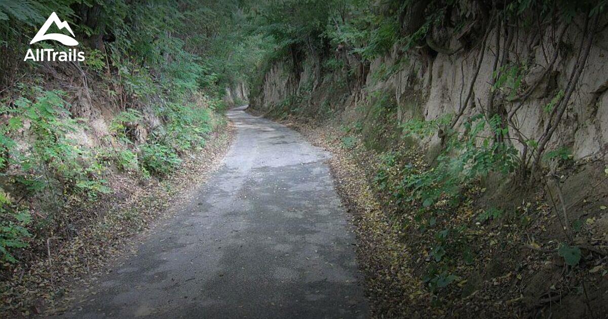 Best hikes and trails in Ubstadt-Weiher | AllTrails