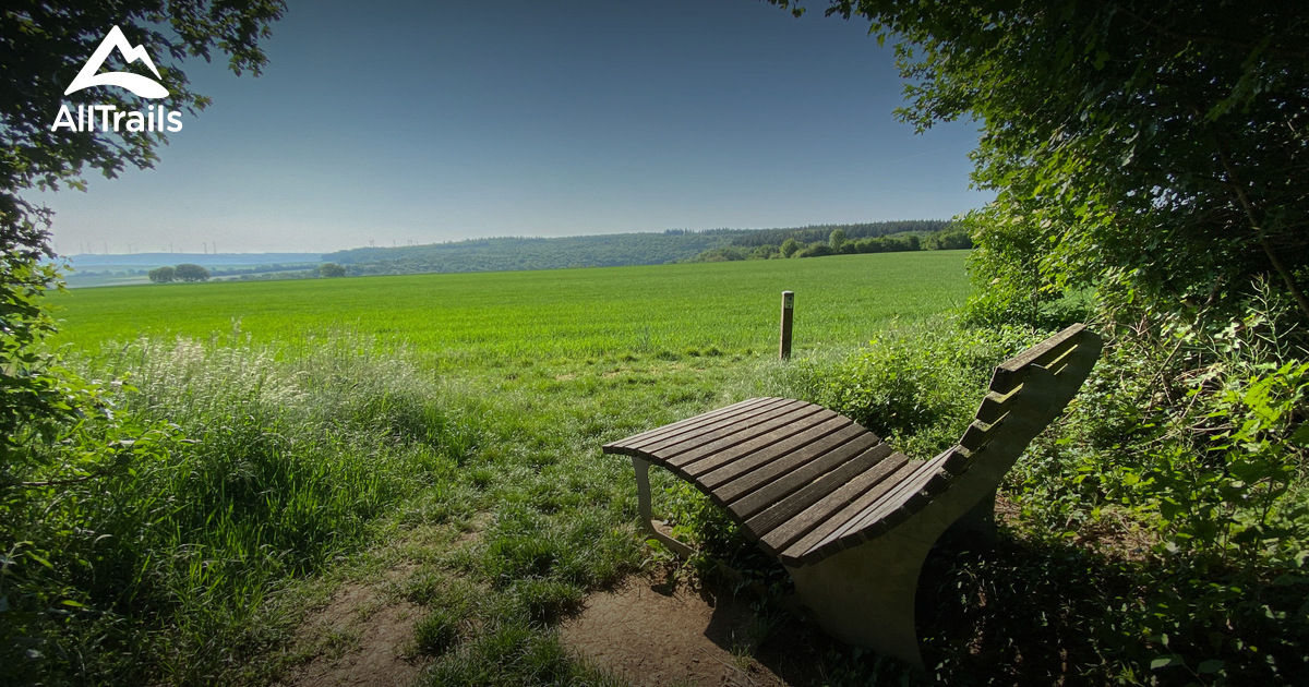 2023 Best Forest Trails in Tiefenthal AllTrails