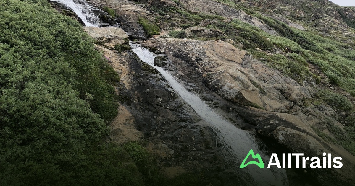 Yalangoch Madison Lintz Jinsiy onalar bilan qoplangan