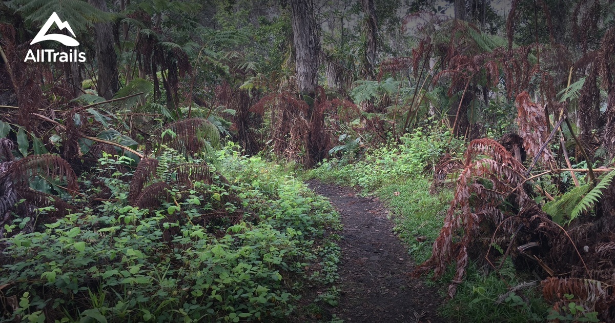 Best Trails And Hikes In Kailua Kona Alltrails