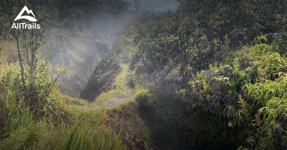 10 Best trails and hikes in Volcano | AllTrails
