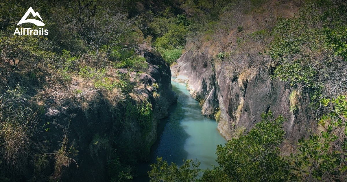 2023 Best Forest Trails in Nueva Armenia AllTrails