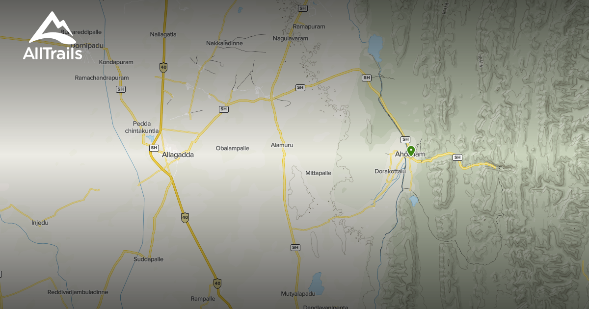 Best Forest Trails in Allagadda AllTrails