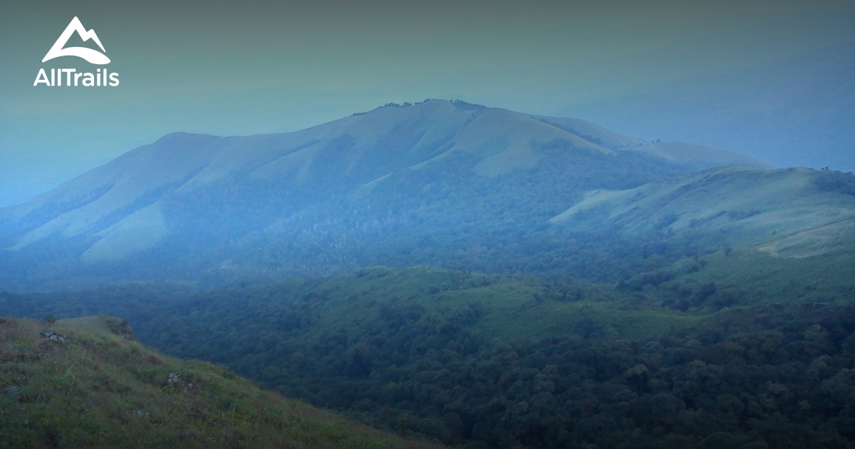 Mallandur Homestay & Waterfall Chasing in Chikmagalur - Hippie In Heels |  Waterfall, Jog falls, Places to visit