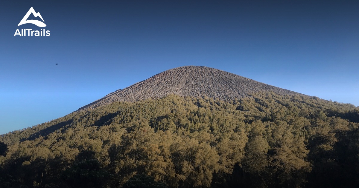 10 Best Trails, Walks, And Paths In Lumajang | AllTrails