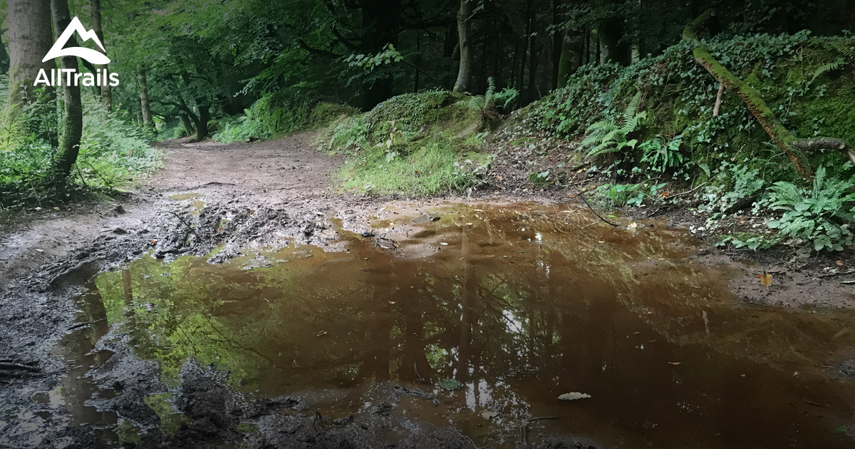 Best Hikes and Trails in Douglas AllTrails